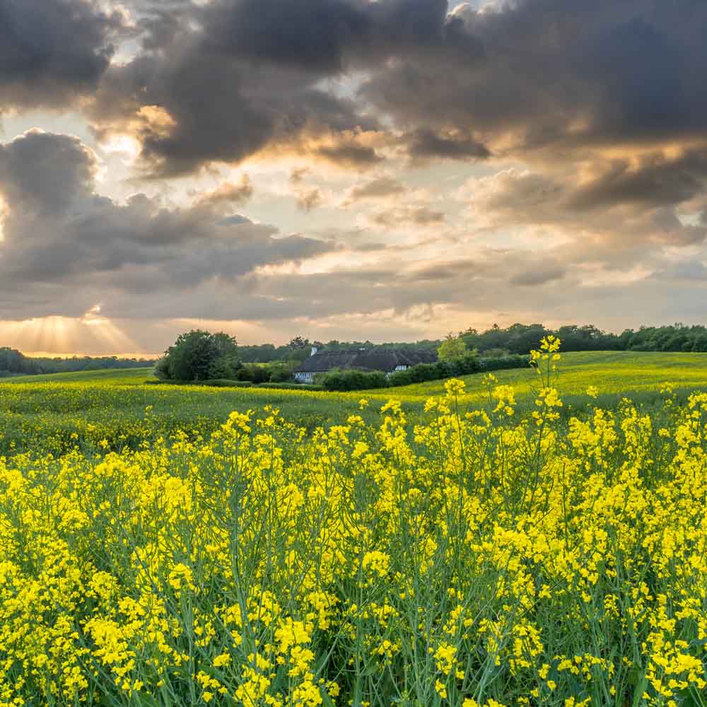 Norbert Versteeg Photography