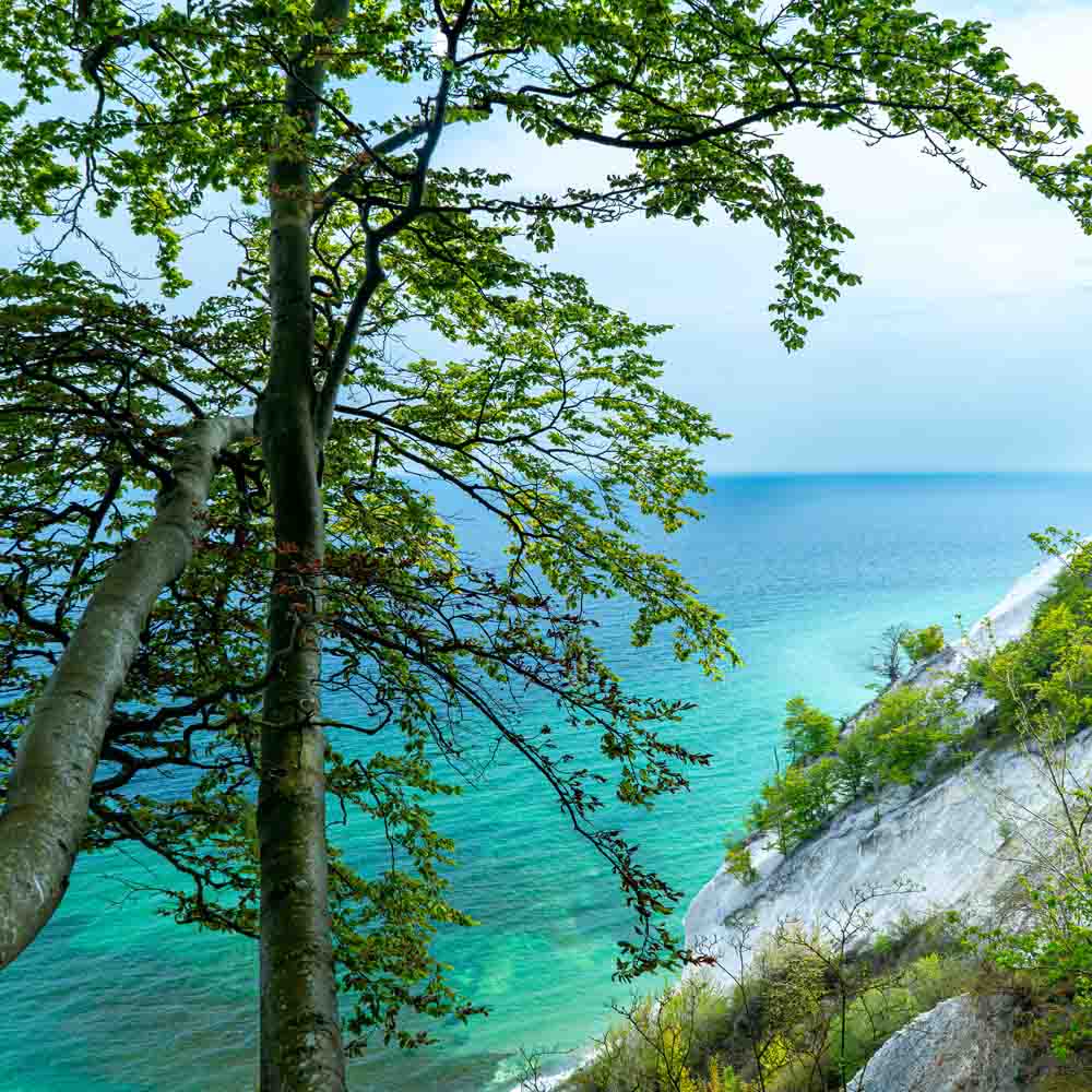 Norbert Versteeg Photography